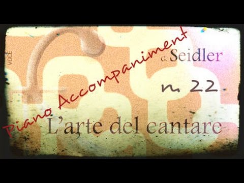 Seidler n. 22 - Piano Accompaniment (Play - Along)