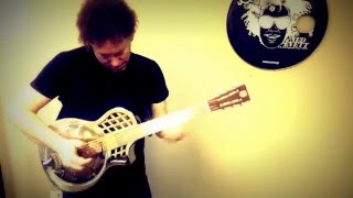 Ned Evett Titanium Fingerboard