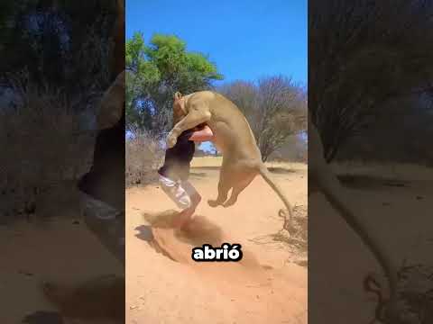 Cuando Las Cámaras Captaron Los Momentos Más Asomb