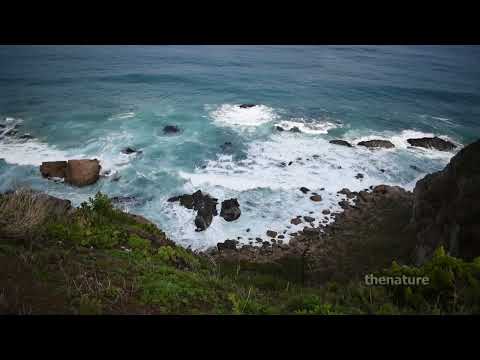 El Yeco Algarrobo Región de Valparaíso Chile 10