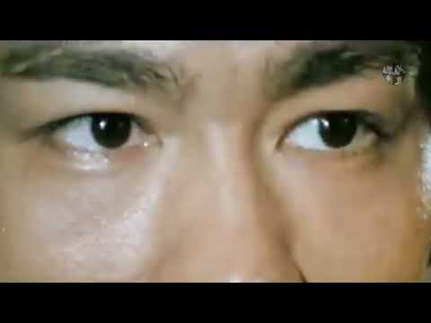 Bruce Lee vs Donnie Yen & Jet Li