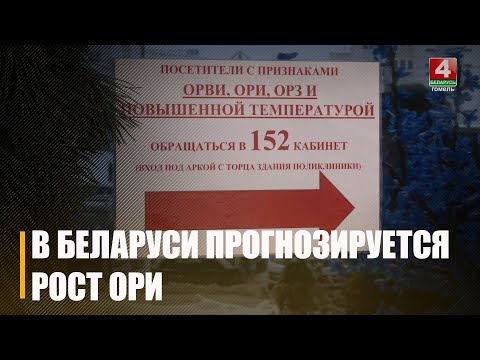 Подъем заболеваемости ОРВИ прогнозируется в Беларуси  видео