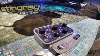 Soundblox 2 Stingray Multi-Filter - What To Know & Where To Buy