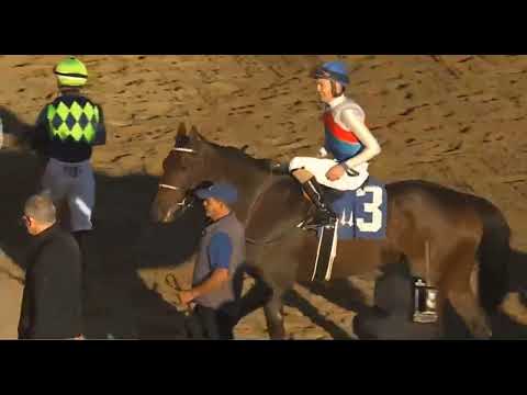 R8 CHURCHILL DOWNS 12 NOV 2025   🏆 “ Sir Greylind’s Powerful Victory Leaves Fans Speechless