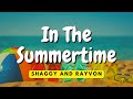 In The Summertime - Shaggy and Rayvon (lyrics)