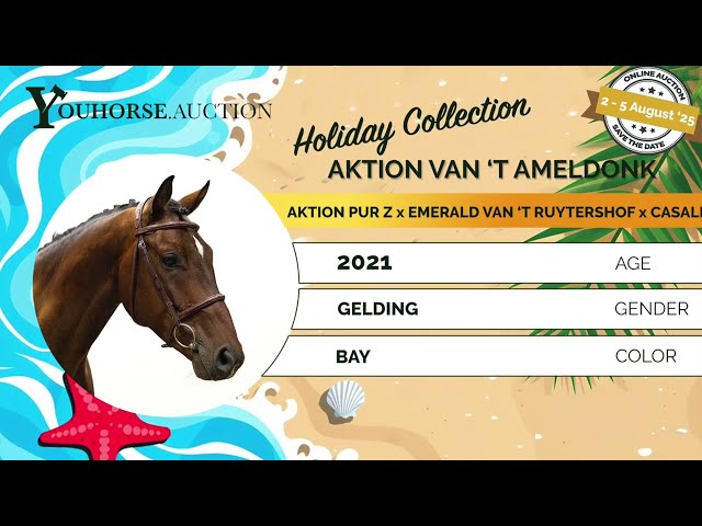 Aktion van 't Ameldonk Z