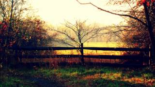 Marc Lee Shannon -"Pieces On The Ground"