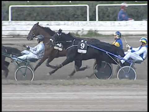 Trotto 26/10/2014 - 3° corsa