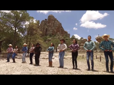 SLE - Huapangos Editados Video Mix 2020