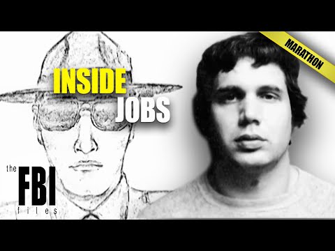 Betrayal from Within: The Craziest Inside Jobs | The FBI Files