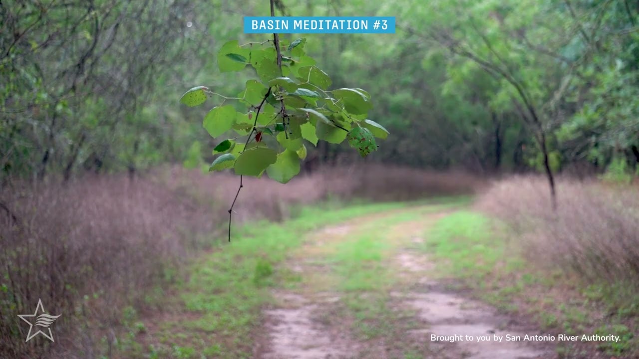 Relaxing Nature Sounds + Trail View - Basin Meditation at Hendrick Arnold Nature Park