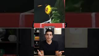 pq sentimos o cheiro antes da chuva cair? #curiosidades #curiosidade #fatos