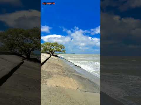 Beach Site View At Bakiput#shorts #beach #water .Edit By Abhi Da