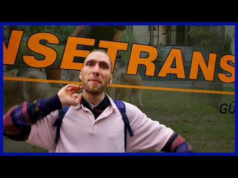 Max und Mo Ritz (Max Mehoni & Mosayk) - Maintenant