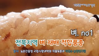 [농업인 실용 교육] #벼. 1강/ 전북지역 벼 재배 적합품종