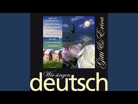 Macht rotes Licht, wir wollen Tango tanzen