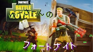 ［PS4版フォートナイトバトロワ]一緒にビクトリー取ろ～(初見参加大歓迎)お気軽に～＾＾