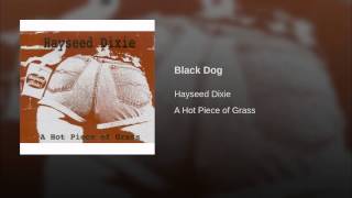 Black Dog Music Video