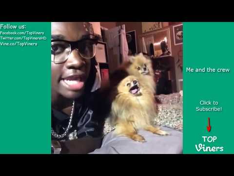 Rickey Thompson Vine Compilation with Titles! BEST Rickey Thompson Vines Top Viners ✔
