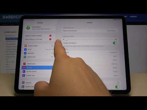 How to Disable Ringtone Volume in iPad Pro 11 2021?