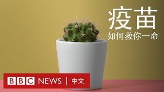 Re: [問卦] 好心肝可以到此為止了嗎？