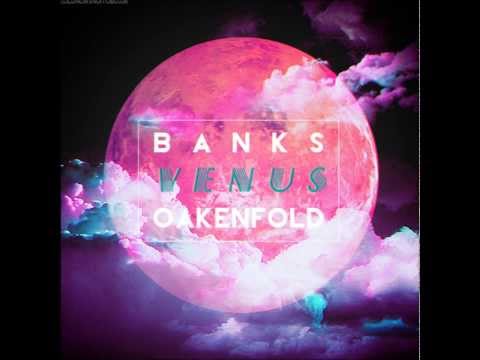 VENUS (Instrumental Remake) - PAUL OAKENFOLD X AZEALIA BANKS)