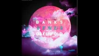 VENUS (Instrumental Remake) - PAUL OAKENFOLD X AZEALIA BANKS)