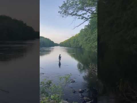 Peaceful river fishing
