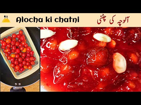 Alocha ki Chatni Recipe in URDU | Fresh Cherry Plum Chutney | Chota Aloo Bukhara | Aloche Ki Chatni