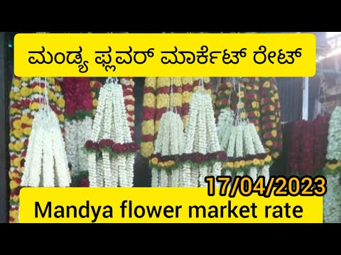 ಮಂಡ್ಯ ಪ್ಲವರ್ ಮಾರ್ಕೆಟ್ ರೇಟ್/mandya flower market rate today/mandya market rate/17/04/2023