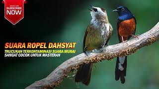 Download lagu TRUCUK ROPEL DAHSYAT TERKONTAMINASI MURAI mp3