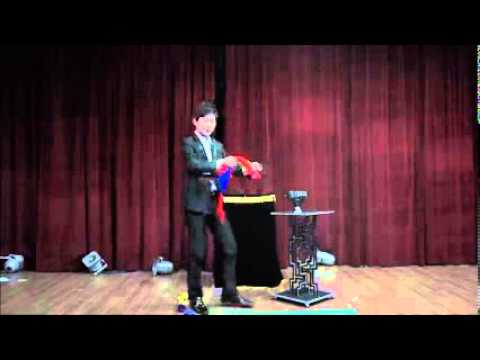 Auto Flame Electric Dove Pan by JL Magic