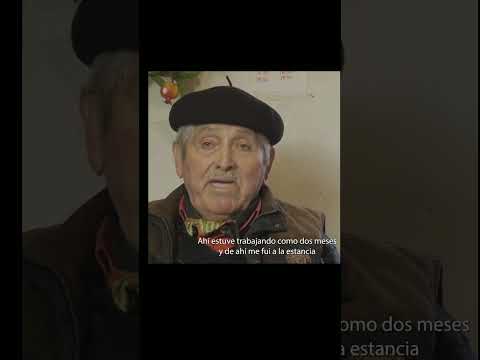 Mi Experiencia en Estancias de Aysén y Argentina #shorts
