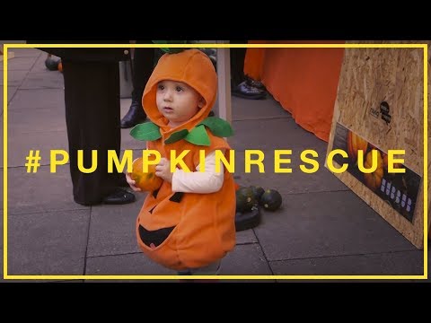 Pumpkin Rescue 2016 I Hubbub Campaigns