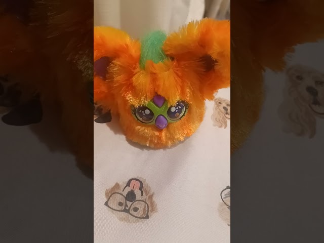 Vídeo relacionado con Hasbro Furby Furblets, Boo-Kin, Peluche Electrónico con Sonido, Ojos de Calabaza, Personaje Color Naranja, Coleccionable, Material Seguro y Suave al Tacto, Mini Cómodo Tamaño, Regalo Infantil