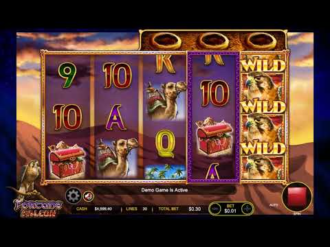 Fortune Falcon – Video Gameplay