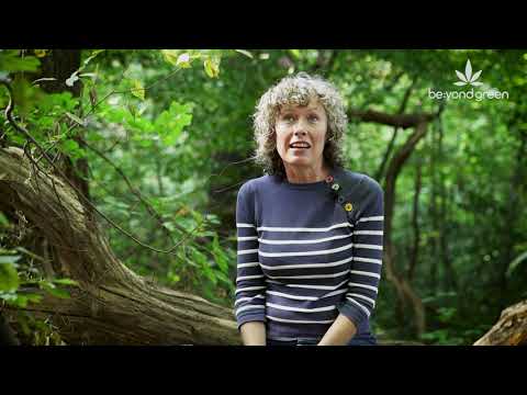 Full Interview "Cannabis is a gateway drug to a better life.” Mary Biles, author of The CBD Book.