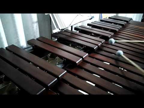 Inni di lode N°688: Vieni, Spirito Divino Marimba Cover