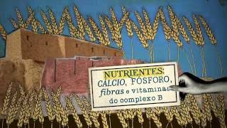 Miniatura do vídeo