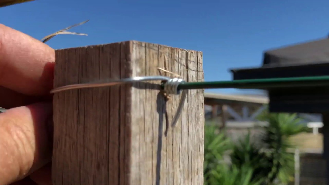 Watch video Beautiful fence trellis screening panel. Add fence height with plants. Creeper shield Now Beautiful fence trellis screening panel. Add fence height with plants. Creeper shield