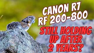 CANON R7 - Still good after 2 Years? Featuring the RF 200-800 and the Mighty Pika of Alaska!