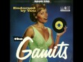 The Gamits-Sorry Song.wmv 