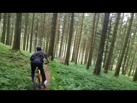 Niederhofen trail Leutkirch im Allgäu