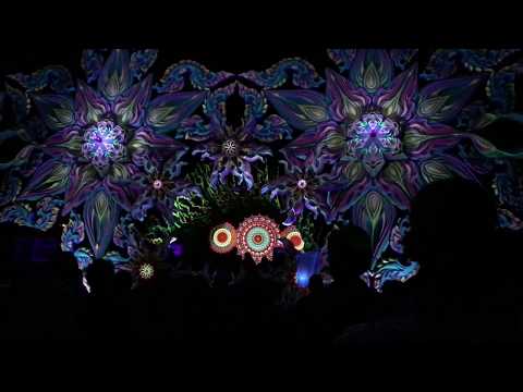 Skizologic @ Connection festival 2017