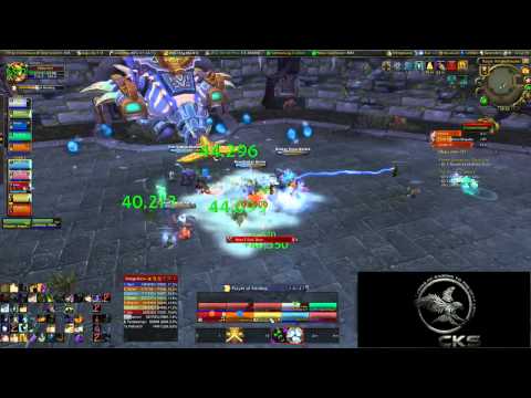 Meridian 10 Man Normal Horridon Disc Priest PoV