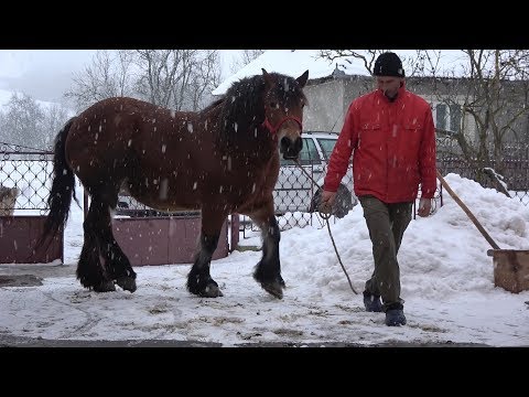 In vizita la domnul Dorutu de la Alunis, Cluj - 2019