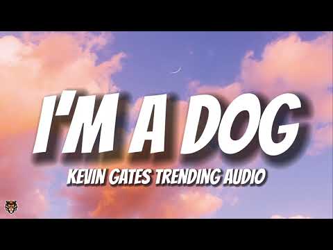 Kevin Gates - Real [I'm a Dog] (Audio di tendenza) "continua a far girare i soldi, è tutto ciò ch...