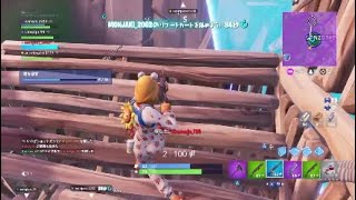 [Fortnite実況]今シーズン初ビクロイ。