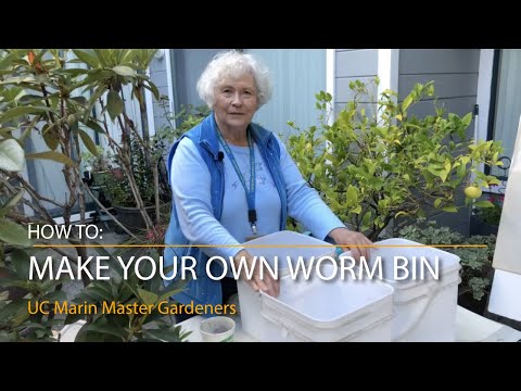 How to Make a Worm Bin