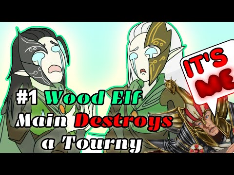 The BEST Wood ELF player dominates a Tournament Totalwar Warhammer 3 Multiplayer Faction Tournament